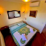 فيلة Laurus Malia