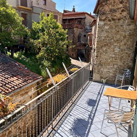 Laurus Malia فيلة Celso