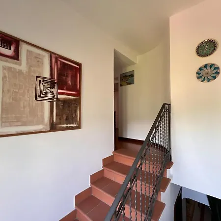 Laurus Malia * Celso