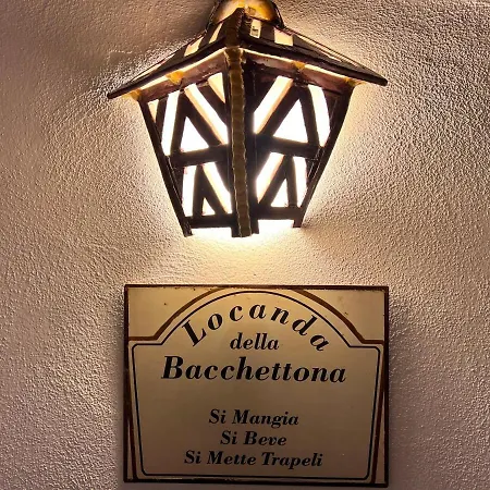 فيلة Laurus Malia