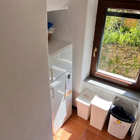 Laurus Malia فيلة