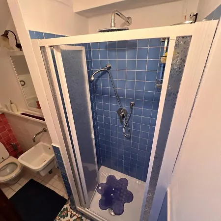 فيلة Laurus Malia Celso