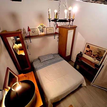 Laurus Malia * Celso