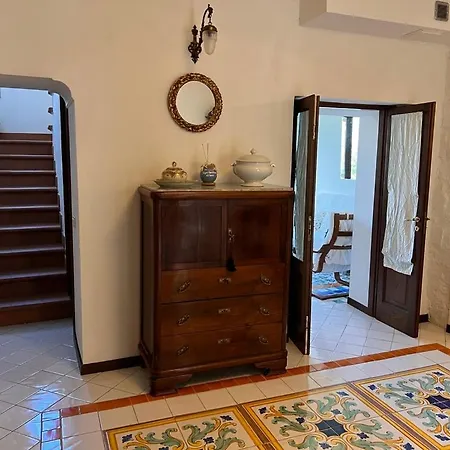 Laurus Malia فيلة Celso