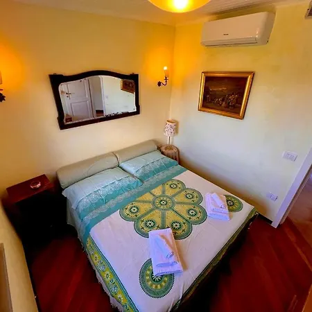 فيلة Laurus Malia