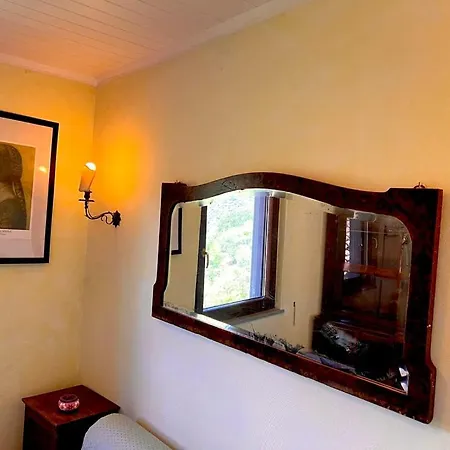 فيلة Laurus Malia *