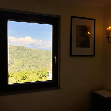 Laurus Malia فيلة