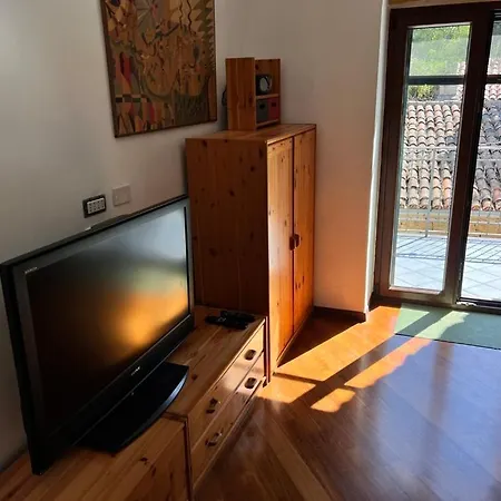 Laurus Malia فيلة