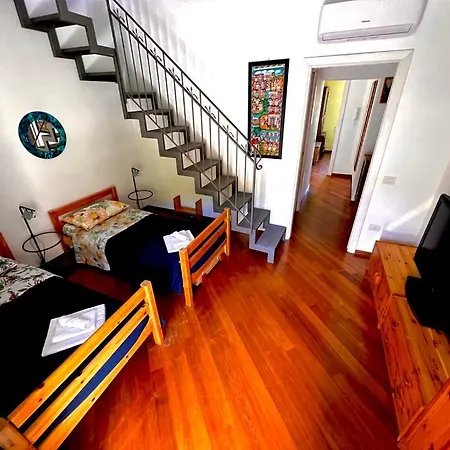 فيلة Laurus Malia *