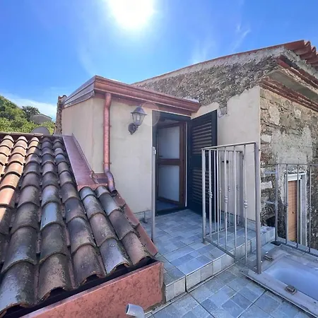 Laurus Malia فيلة