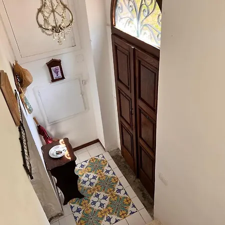 فيلة Laurus Malia *