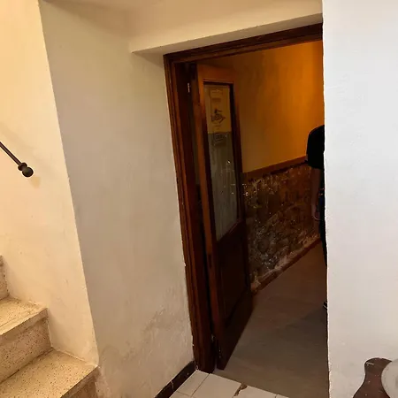 Laurus Malia * Celso