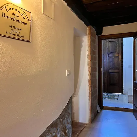 فيلة Laurus Malia Celso