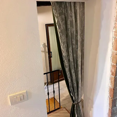 Laurus Malia فيلة *