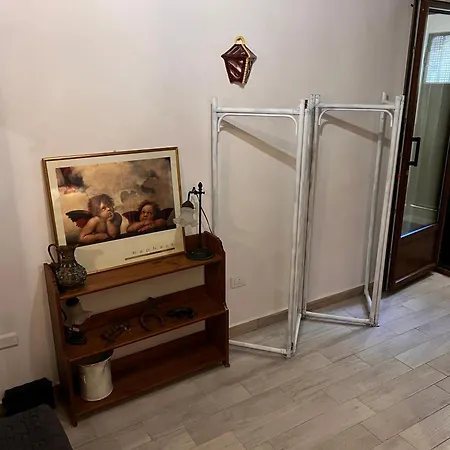 Laurus Malia * Celso