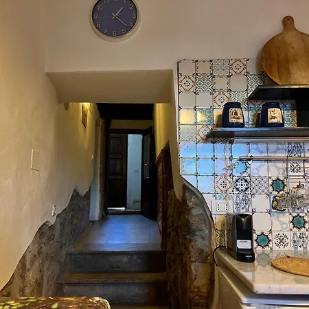 فيلة Laurus Malia Celso