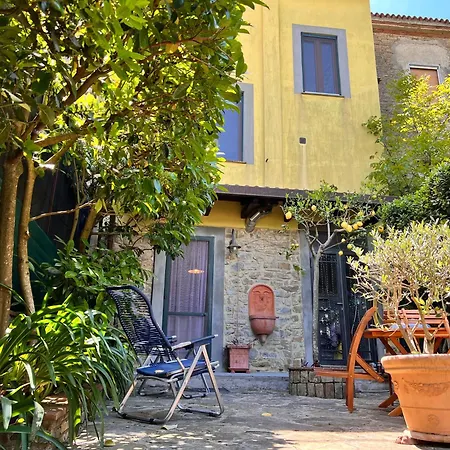 فيلة Laurus Malia